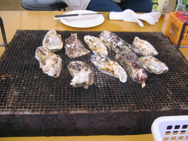 f0119082_161552.jpg