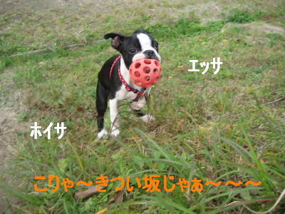 c0092787_11224916.jpg