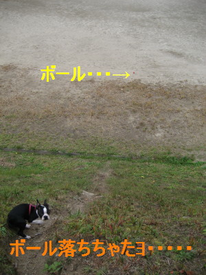 c0092787_11383896.jpg