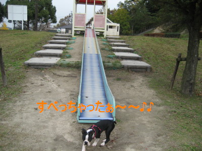 c0092787_11433640.jpg