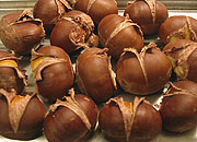 f0077789_11305651.jpg