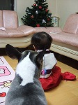 a0079990_13144641.jpg