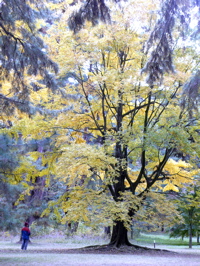 a0079292_16155250.jpg