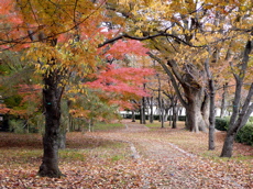 a0079292_1635627.jpg