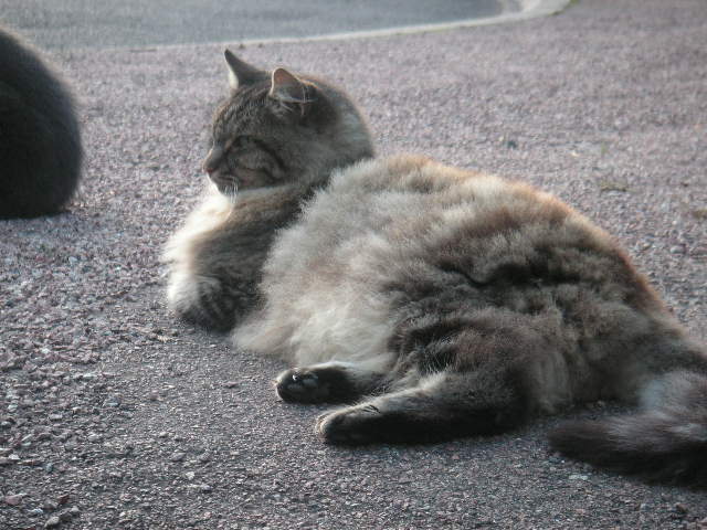 f0044892_2317027.jpg
