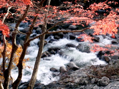 a0061594_20185818.jpg