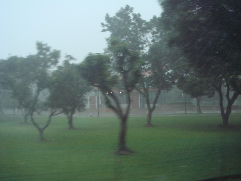 f0013998_1812418.jpg