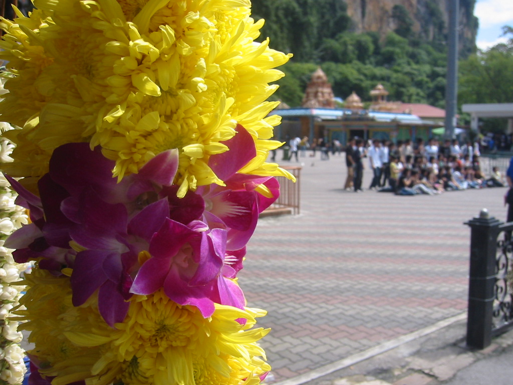 f0013998_915279.jpg