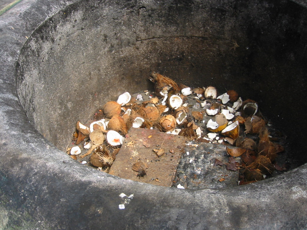 f0013998_9154.jpg