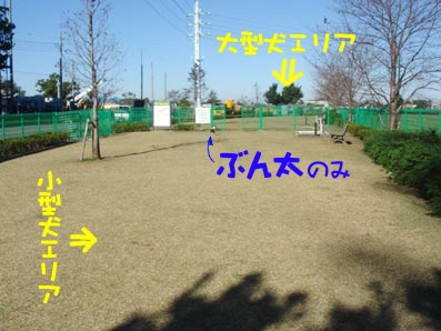 c0094999_520231.jpg