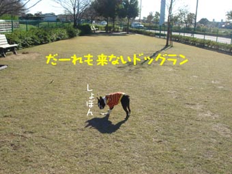c0094999_5353699.jpg