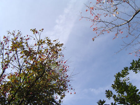 c0011204_16134250.jpg