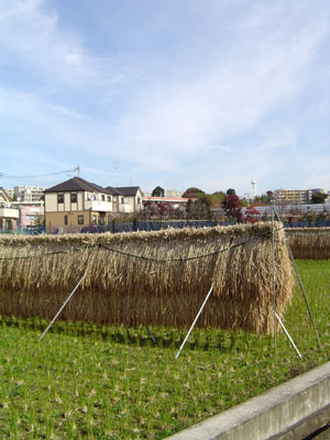 c0011204_1613509.jpg