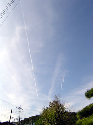 c0011204_16152583.jpg
