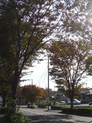 c0011204_16165197.jpg