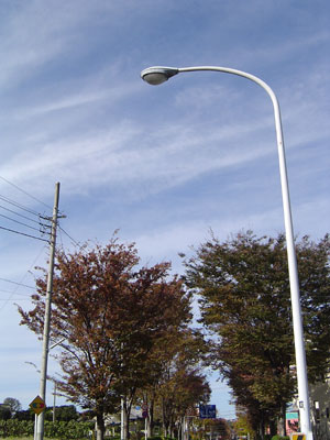 c0011204_16171279.jpg