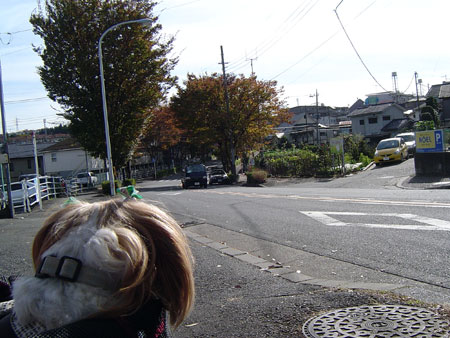 c0011204_1617589.jpg