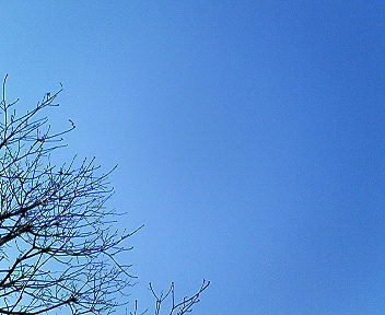 c0017505_1743120.jpg