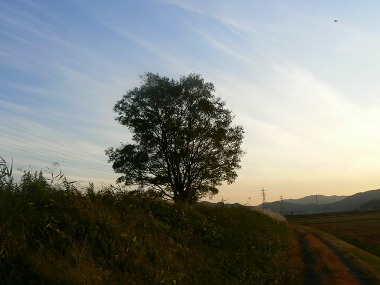 e0075015_729453.jpg