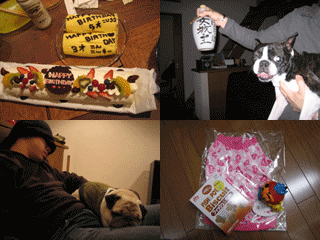 e0080117_23114293.gif