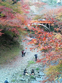 b0019820_22523851.jpg