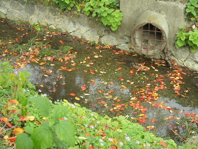 d0055321_0241187.jpg