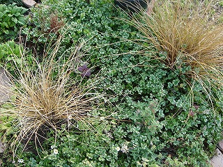 f0054421_8102057.jpg