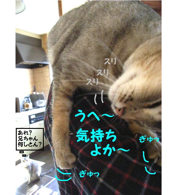 d0081025_20325776.jpg