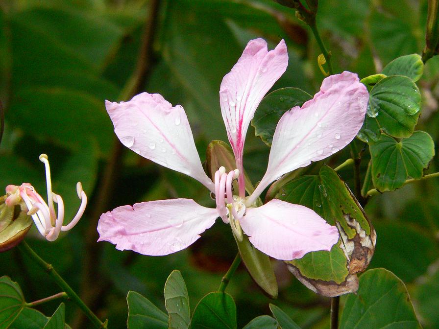 d0053930_821011.jpg
