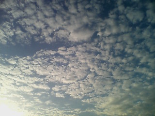 f0115833_20503712.jpg