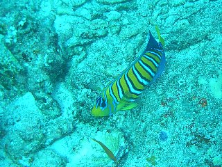 b0003235_2335983.jpg