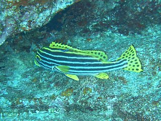 b0003235_2341517.jpg