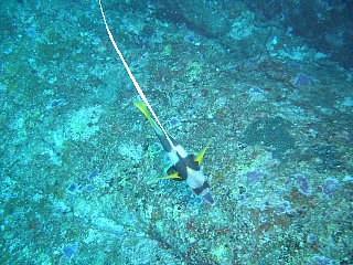b0003235_2342799.jpg