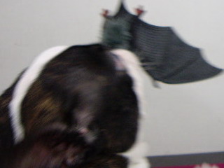 e0098547_2283940.jpg