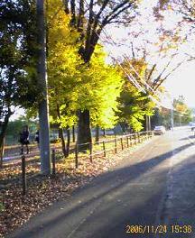 f0087347_182478.jpg
