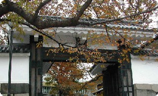 f0096147_2343494.jpg