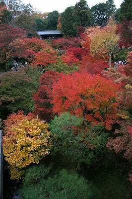 f0042548_810431.jpg