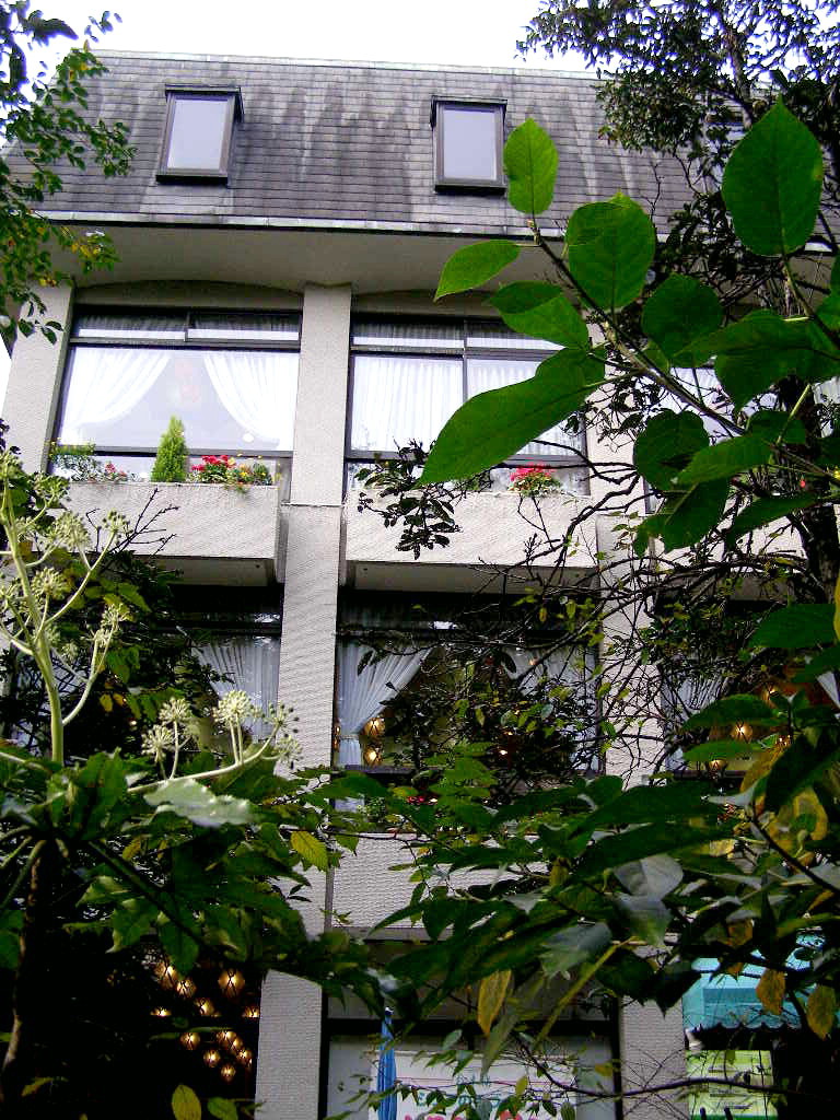e0064158_17284.jpg