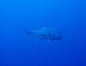 b0062363_19514531.jpg