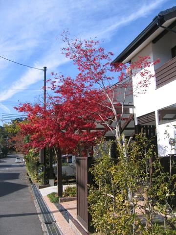 e0031568_1265010.jpg