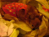f0052071_16561318.jpg