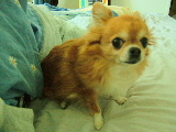 f0052071_17221622.jpg