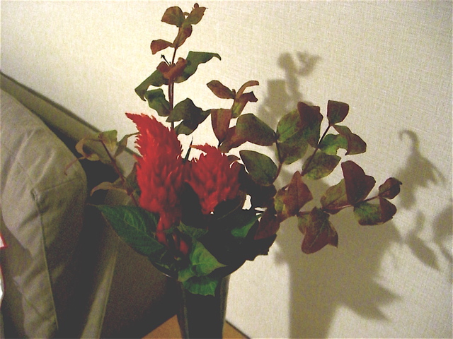 e0018777_21405650.jpg