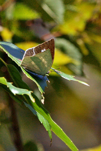 a0083081_20254127.jpg