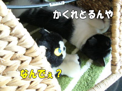 b0041182_23371513.jpg