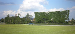 e0066586_7371393.jpg