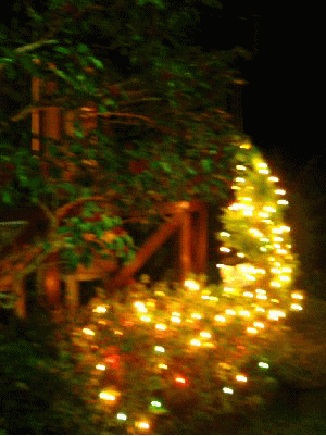e0060987_2195849.gif