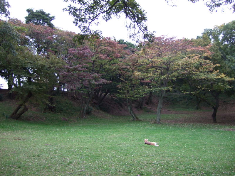 c0104492_1842176.jpg