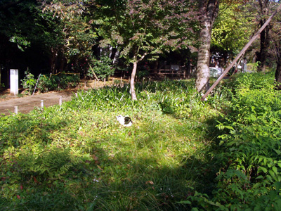 d0038301_7514291.jpg