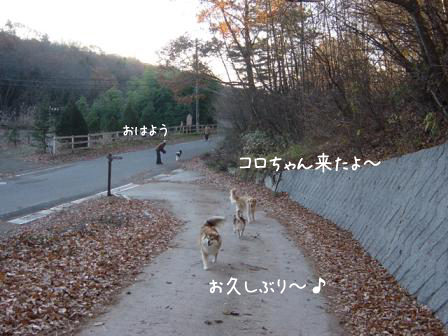 f0064906_1804712.jpg